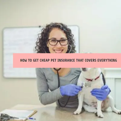 How to get pet insurance that covers everything