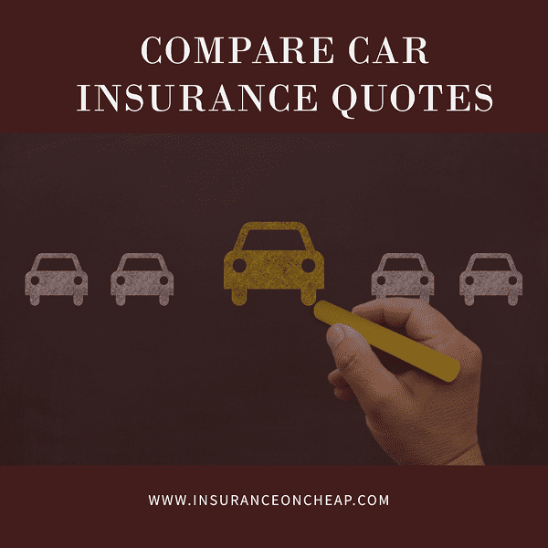 Compare car insurance quotes and premiums for 2024